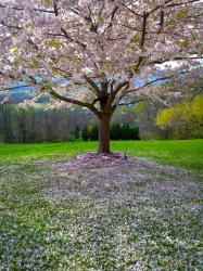 User Profile: jimnoah