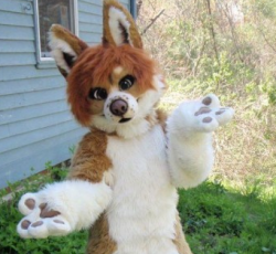 Profile: RustyPup