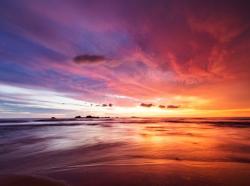 User Profile: 9276SummerSun