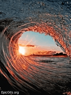 User Profile: SunshineAllocation