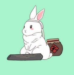 User Profile: CuteRabbit2333