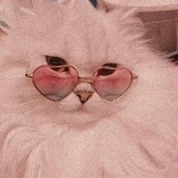 User Profile: callmelilith001