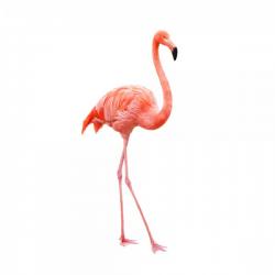 User Profile: comfortingFlamingo24