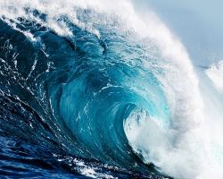 User Profile: ExhuberantOcean