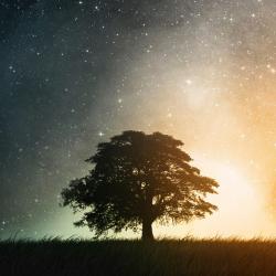 User Profile: mimo29