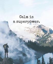 User Profile: calmSky2397