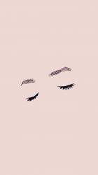 Profile: thesunwillrise02