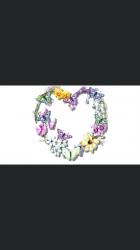 User Profile: beautifulBlossom6605