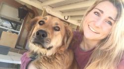User Profile: koalas234