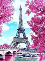 User Profile: Cherryyblossomm