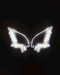 User Profile: GalaxyRose2468