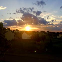 Profile: FlourishingHope
