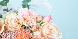 User Profile: VibrantAlice3720