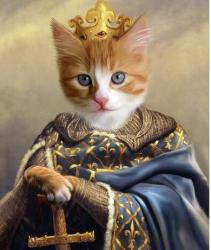User Profile: ComradeKat