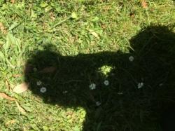 User Profile: shr29
