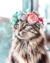 User Profile: HopefulVibes7
