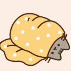 User Profile: CaringHoagie