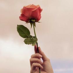 User Profile: enjoyiablePondI