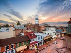 User Profile: empathicSummer391