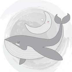 User Profile: safeColors