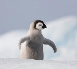 User Profile: ImpatientSea