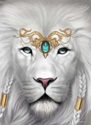 User Profile: Sher217
