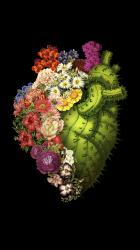 User Profile: ListenToYourHeart7