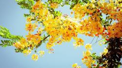 User Profile: sunny701