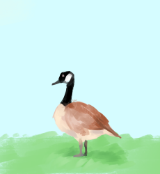 User Profile: majesticWhisper2988
