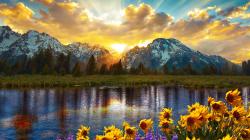 User Profile: FollowYourDreamsAndLookAtMemes