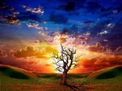 User Profile: SerenityAndDiscourse