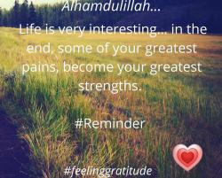 User Profile: Ustadzahku