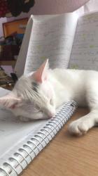 User Profile: bingbing3