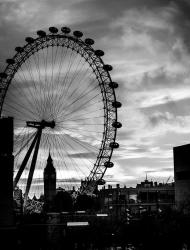User Profile: EnigmaticComfort1818