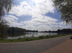 Profile: IvoGeorg