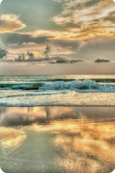 User Profile: thoughtfulSoul2221