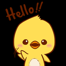 User Profile: Pitokk