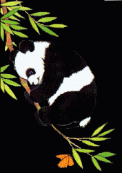 User Profile: ForgiveAndLoveAll