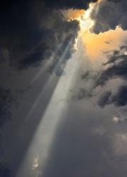 Profile: theraythathasgonethroughthedark