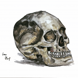 User Profile: anartistwithflowers
