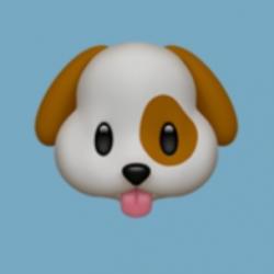 User Profile: ruchilistens