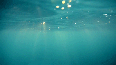 User Profile: Ocean