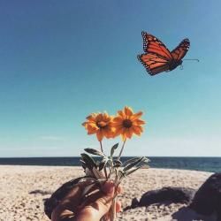 User Profile: Chloe563