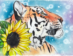 User Profile: sunflowertiger