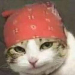 User Profile: FlamingFlamingo