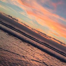 Profile: bubblegumNarwhal3234