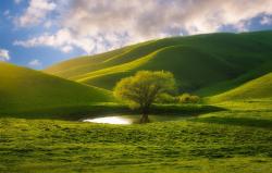 User Profile: royalScenery1555