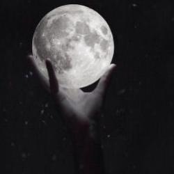 User Profile: calmMoonRed
