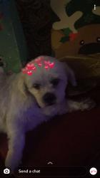 User Profile: John0012321