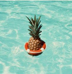 User Profile: SaltyPineappleGirl